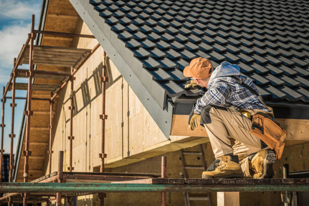 Best Chimney Flashing Repair  in Mccall, ID