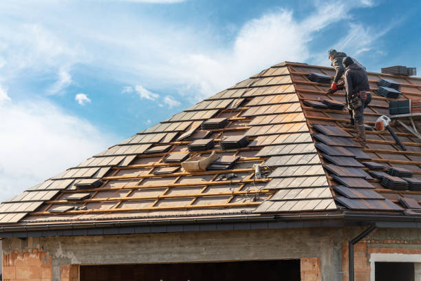 Best Roof Ventilation Installation  in Mccall, ID