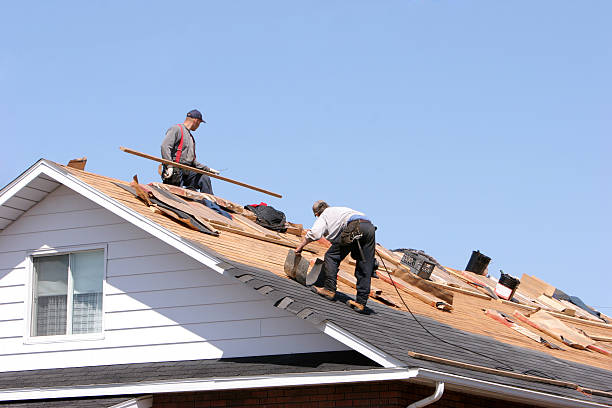 Best Roof Insulation Installation  in Mccall, ID